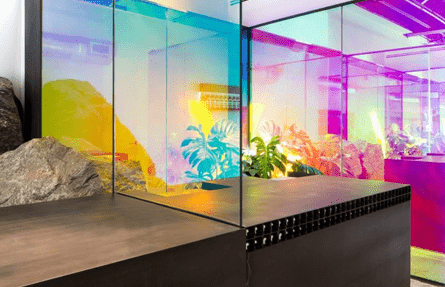 Decorative film on office partition – privacy with light